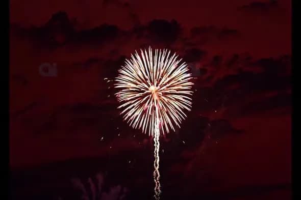 Firework Explosion Against Dark Night Sky