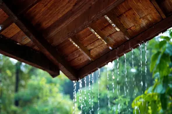Rainwater Dripping from Wooden Roof in Lush Greenery