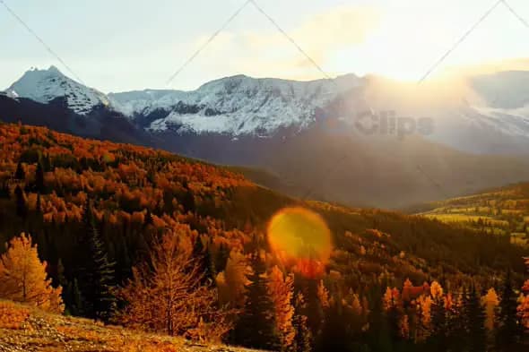 Sunset Over Autumn Forest and Snowy Mountains