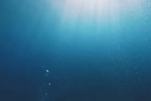 Ethereal Underwater Bubbles Ascending Tranquil Ocean Depths
