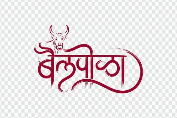Bailpola Marathi Calligraphy Text with Bull Illustration Clipart PNG