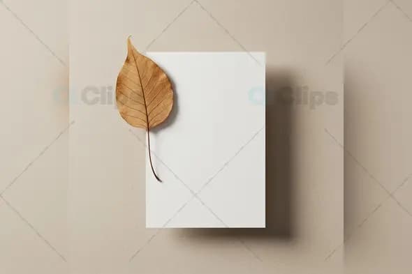 Minimalist White Card Mockup with Natural Leaf Accent