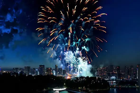Vibrant Fireworks Display Over City Skyline at Night