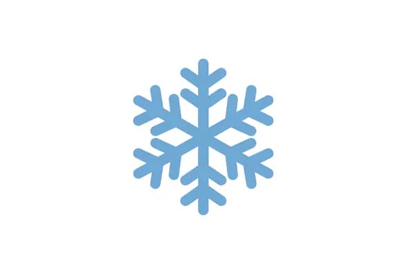 Elegant Snowflake Icon