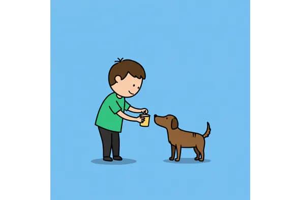 Boy Feeding Dog Vector