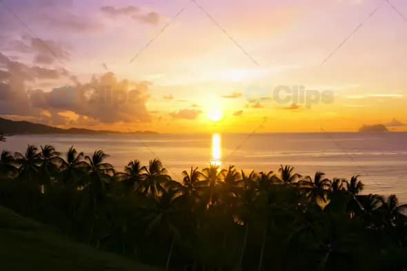 Tropical Sunset Over Ocean with Palm Tree Silhouettes