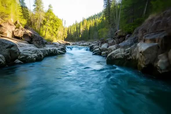 Pristine Mountain River Rushing Through Sunlit Forest Landscape
