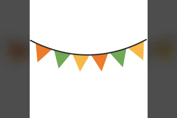 Tri-Color Pennant Banner Vector