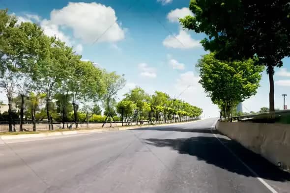 Empty Urban Road with Tree-Lined Path on a Sunny Day