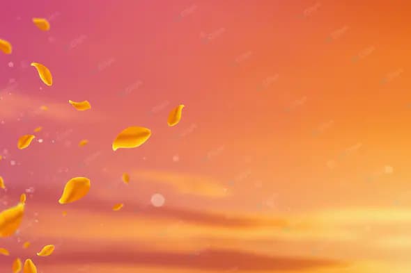 Sunset Petal Dance