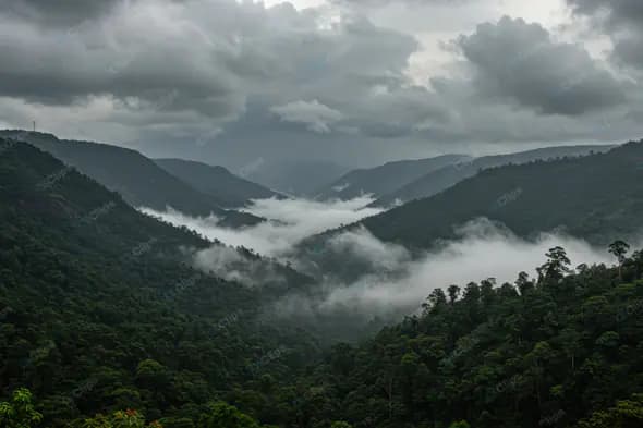 Misty Mountain Valley Panorama