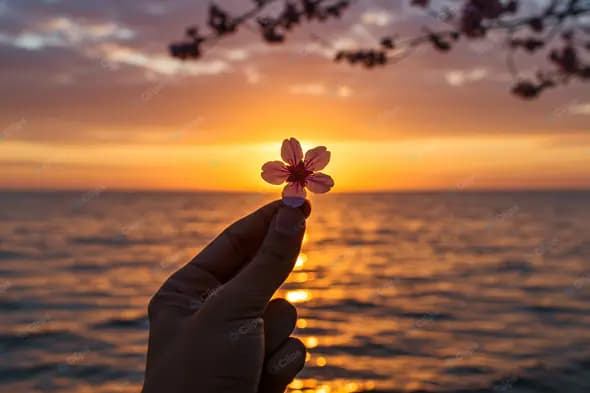 Serene Blossom at Seaside Sunset