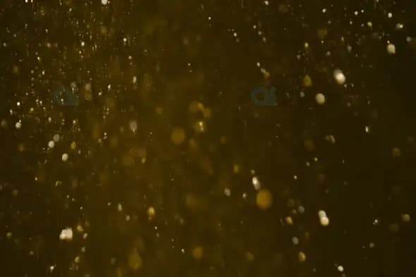 Golden Floating Dust Particles with Soft Light