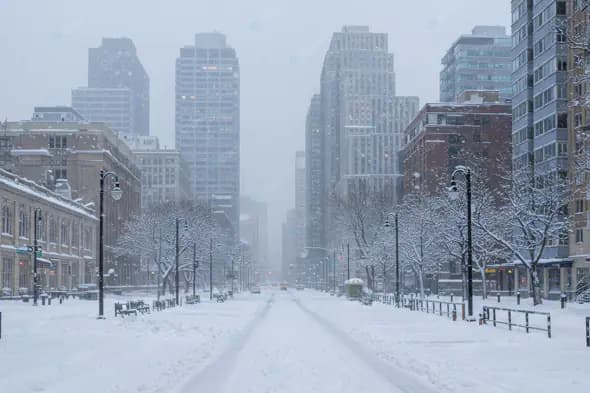 Snowy Urban Avenue