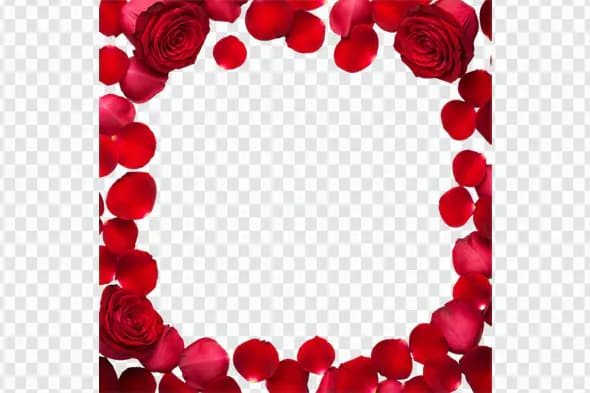 Romantic Red Rose Petals Frame Border PNG
