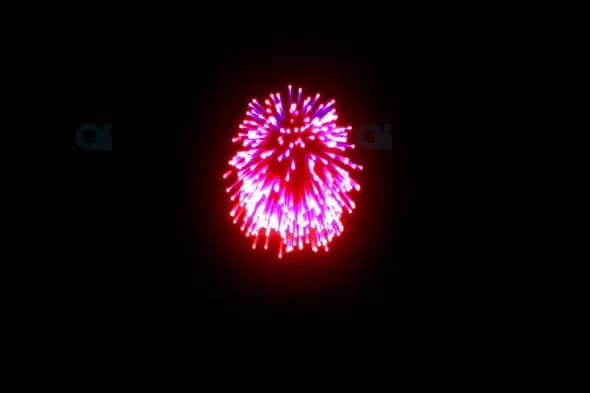 Bright Pink and Red Fireworks Burst Against Night Sky