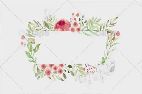 Watercolor Floral Frame on White Background
