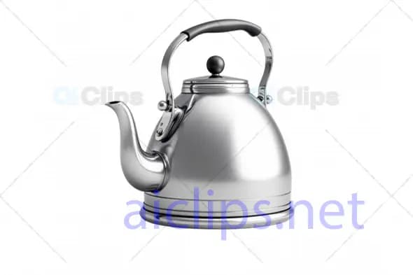 3D Stainless Steel Tea Kettle Model