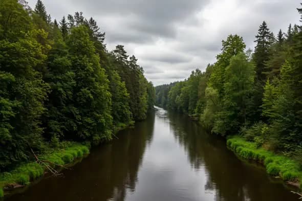 Tranquil Forest River Panorama