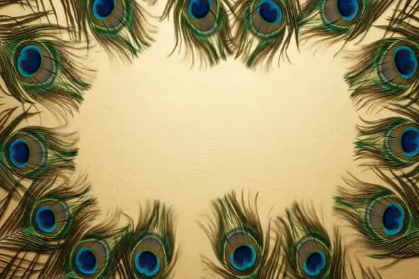 Peacock Feather Circular Border Animation on Golden Paper Texture
