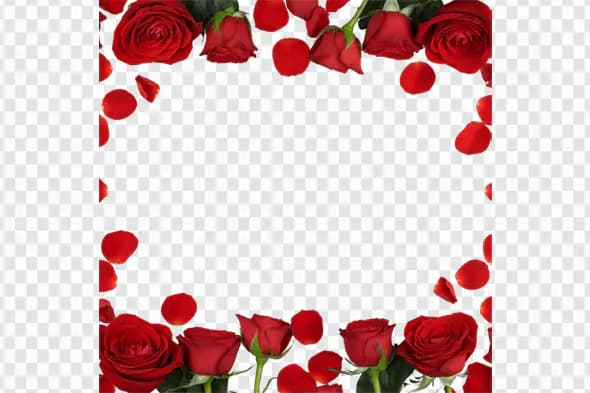 Vibrant Red Roses Petals Frame Border PNG