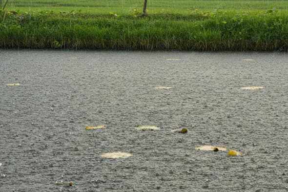 Raindrop-Speckled Pond Landscape