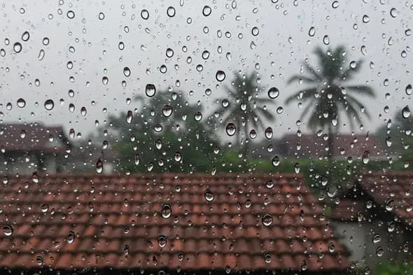 Tropical Monsoon Through Glass