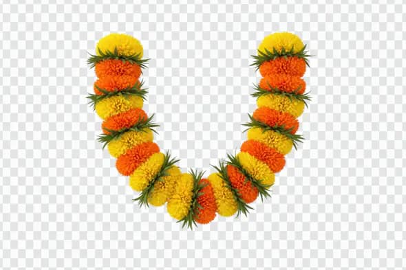 Vibrant Marigold Garland Indian Festival Decoration Illustration