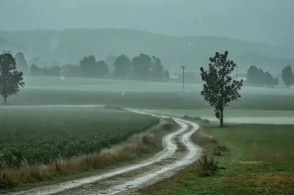 Misty Rural Landscape Winding Country Road Rainy Day