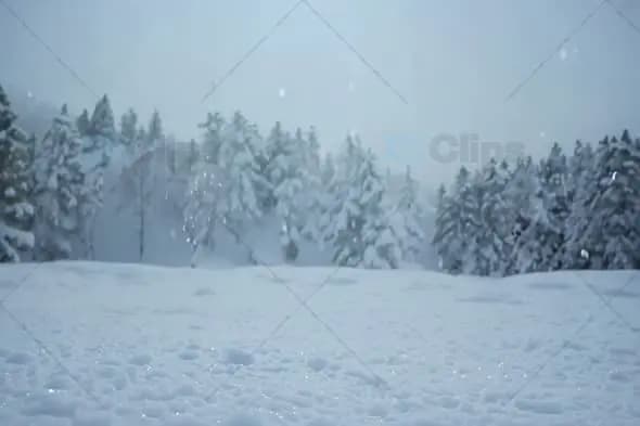 Snow-Covered Winter Landscape with Frosty Trees