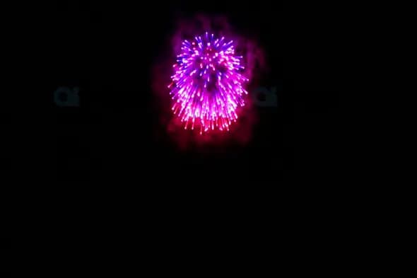 Bright Pink and Purple Fireworks Burst in Night Sky