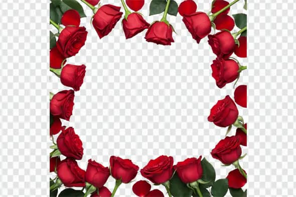 Passionate Red Roses Floral Border Frame PNG