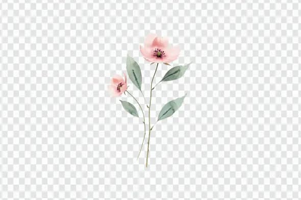 Delicate Watercolor Pink Flowers Stem PNG Clipart