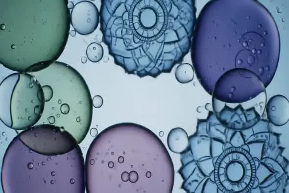 Ethereal Mandala Bubbles with Floating Oil Drops Animation