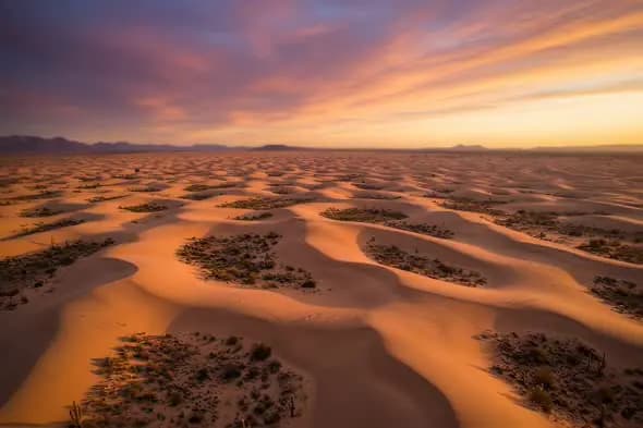 Awe-Inspiring Desert Dunes Bathed in Sunset Glow