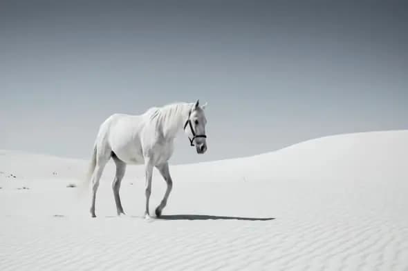 Ethereal White Horse on Snowy Dunes
