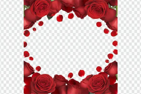 Lush Red Roses Circular Petal Frame PNG
