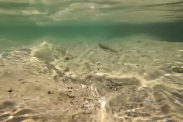 Underwater View of Clear Shallow Beach Waves
