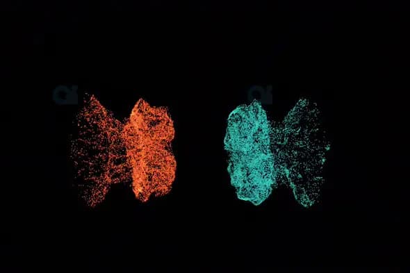 Dual Particle Clusters in Red and Blue on Black Background