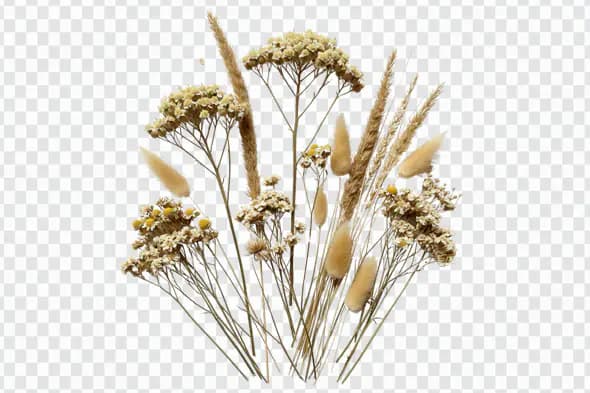 Elegant Dried Floral Arrangement PNG Clipart