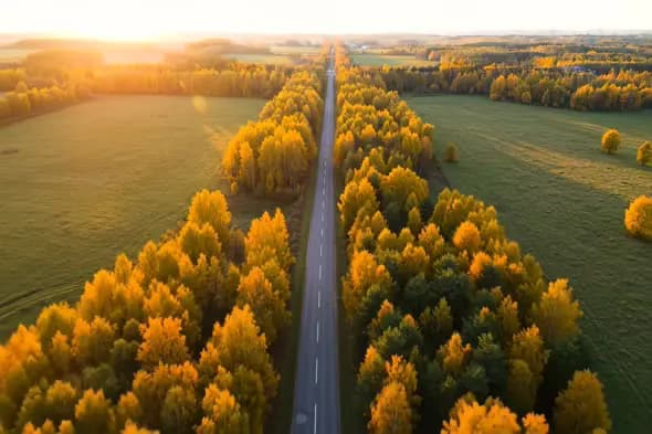 Golden Autumn Road Aerial View