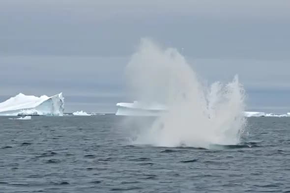 Powerful Whale Spout Erupts Arctic Ocean Iceberg Landscape