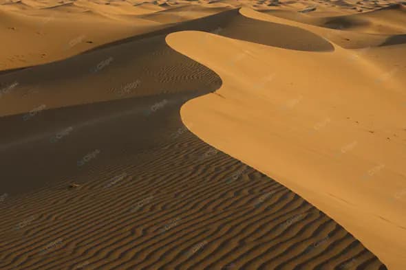 Golden Desert Dunes
