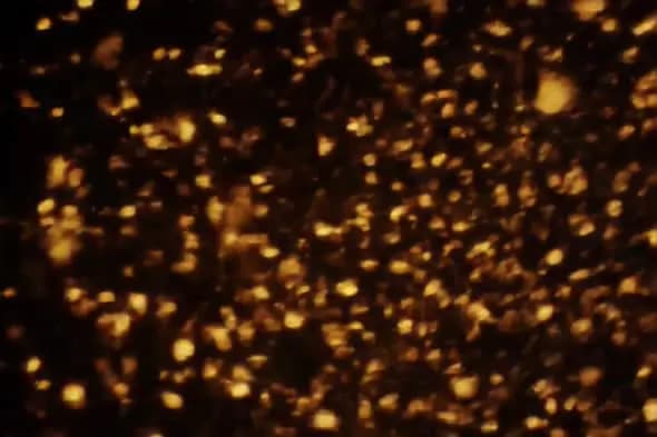 Glowing Amber Particle Swarm