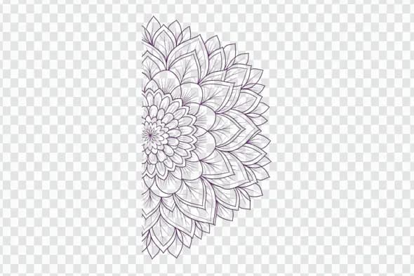 Elegant Purple Floral Line Art Mandala Clipart PNG