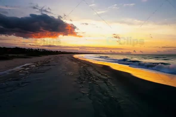 Aerial View of Serene Beach at Sunset
