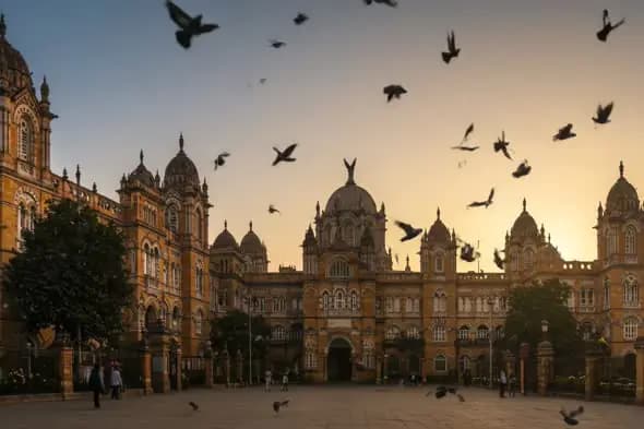Historic Mumbai Architecture with Flying Birds at Sunset