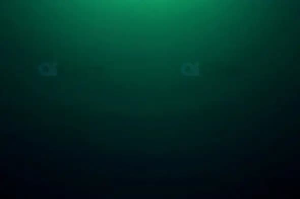 Minimalist Green Gradient Background with Soft Glow