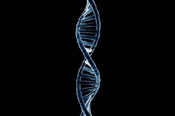 DNA Strand Rotation