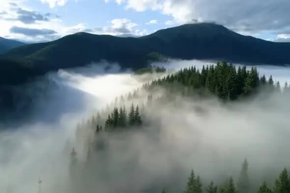 Misty Mountain Forest Landscape Shrouded in Fog